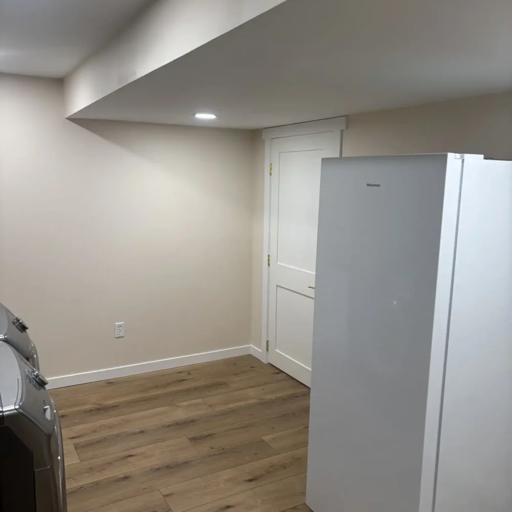 High-End Basement Laundry Room